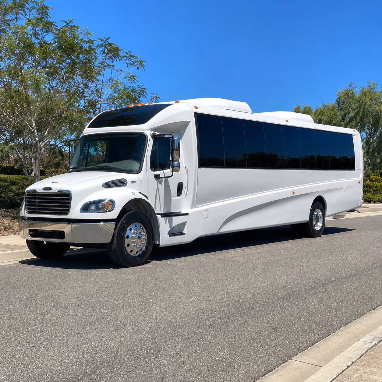 palm coast 25 passenger minibus