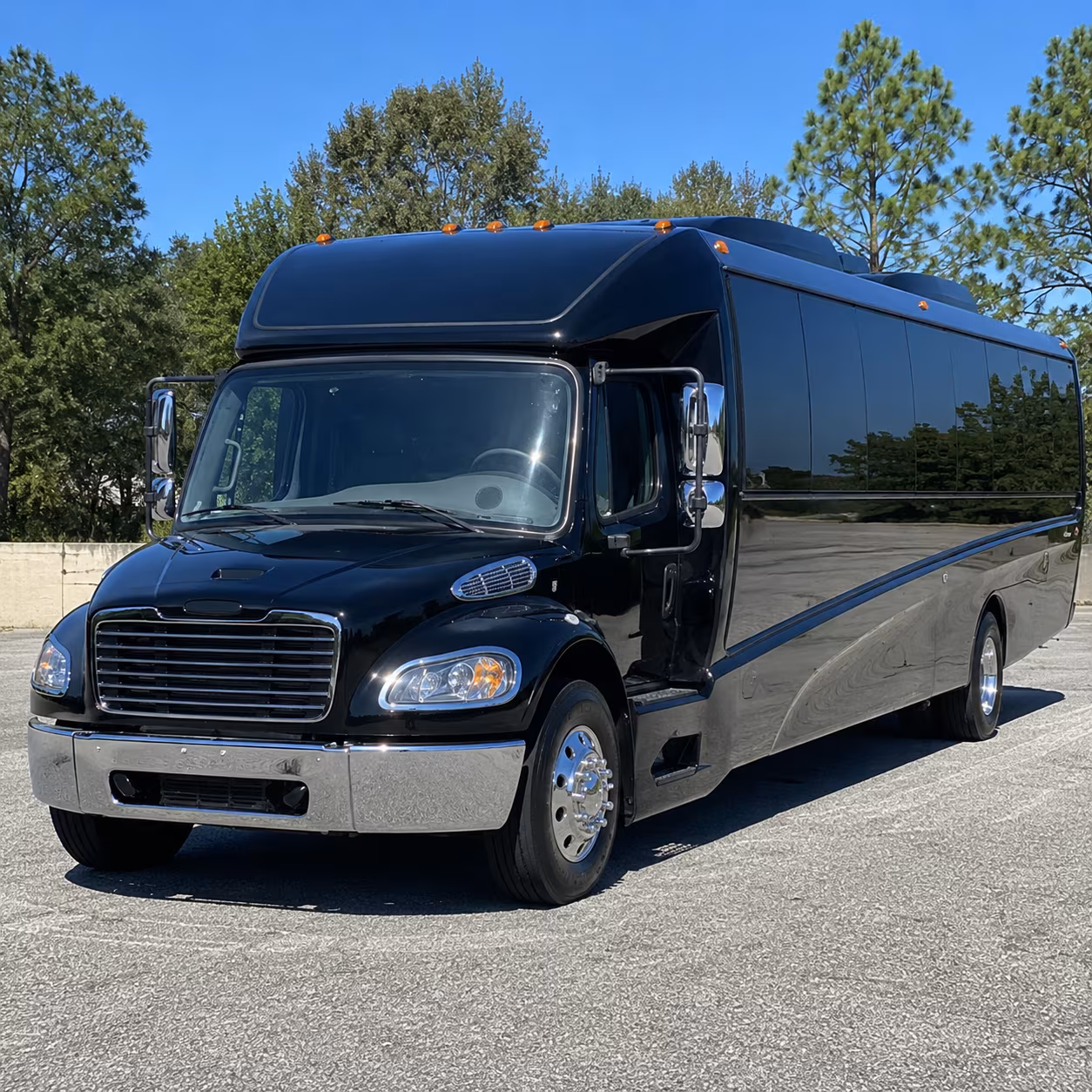palm coast 30 passenger minibus