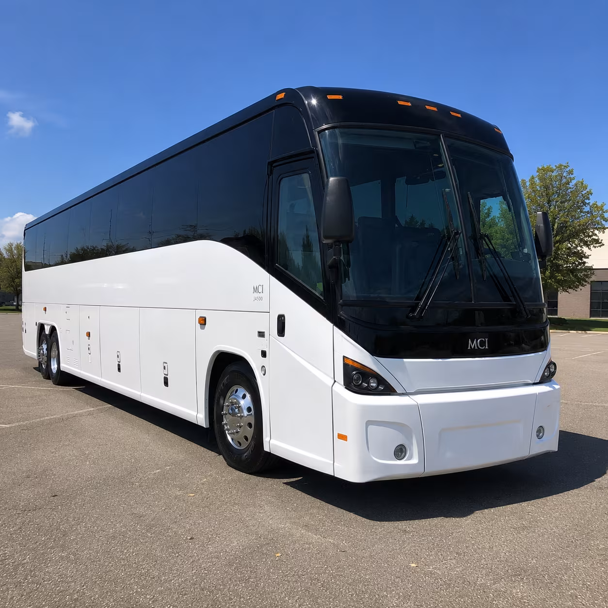 palm coast 45 passenger charter bus