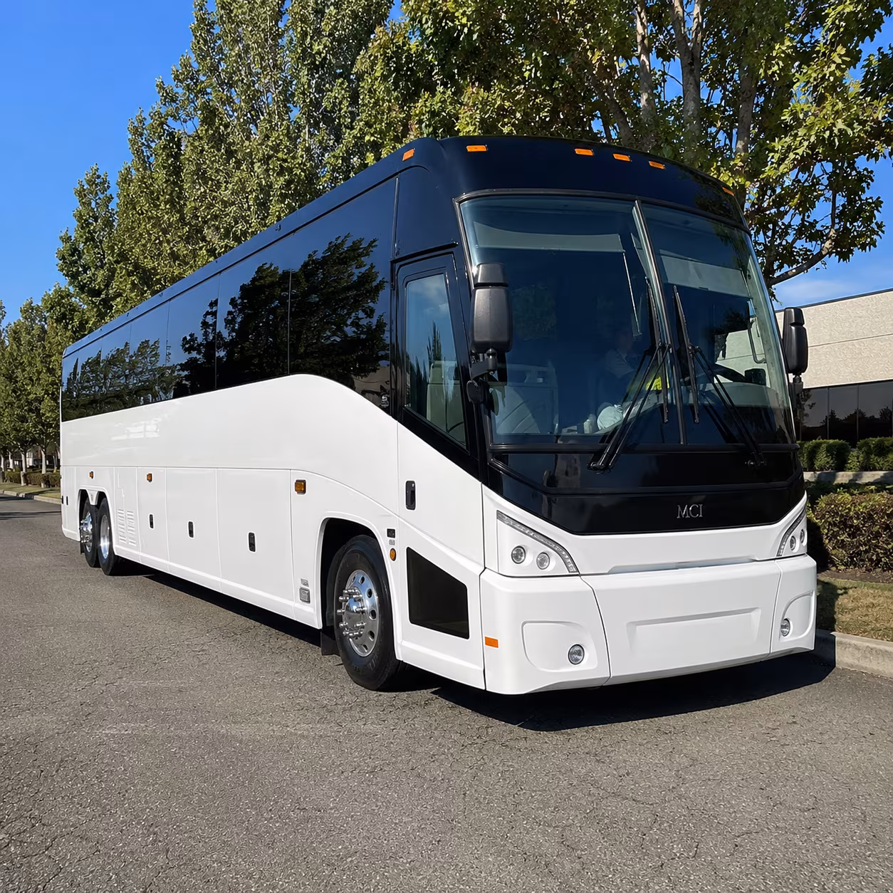 palm coast 50 passenger charter bus