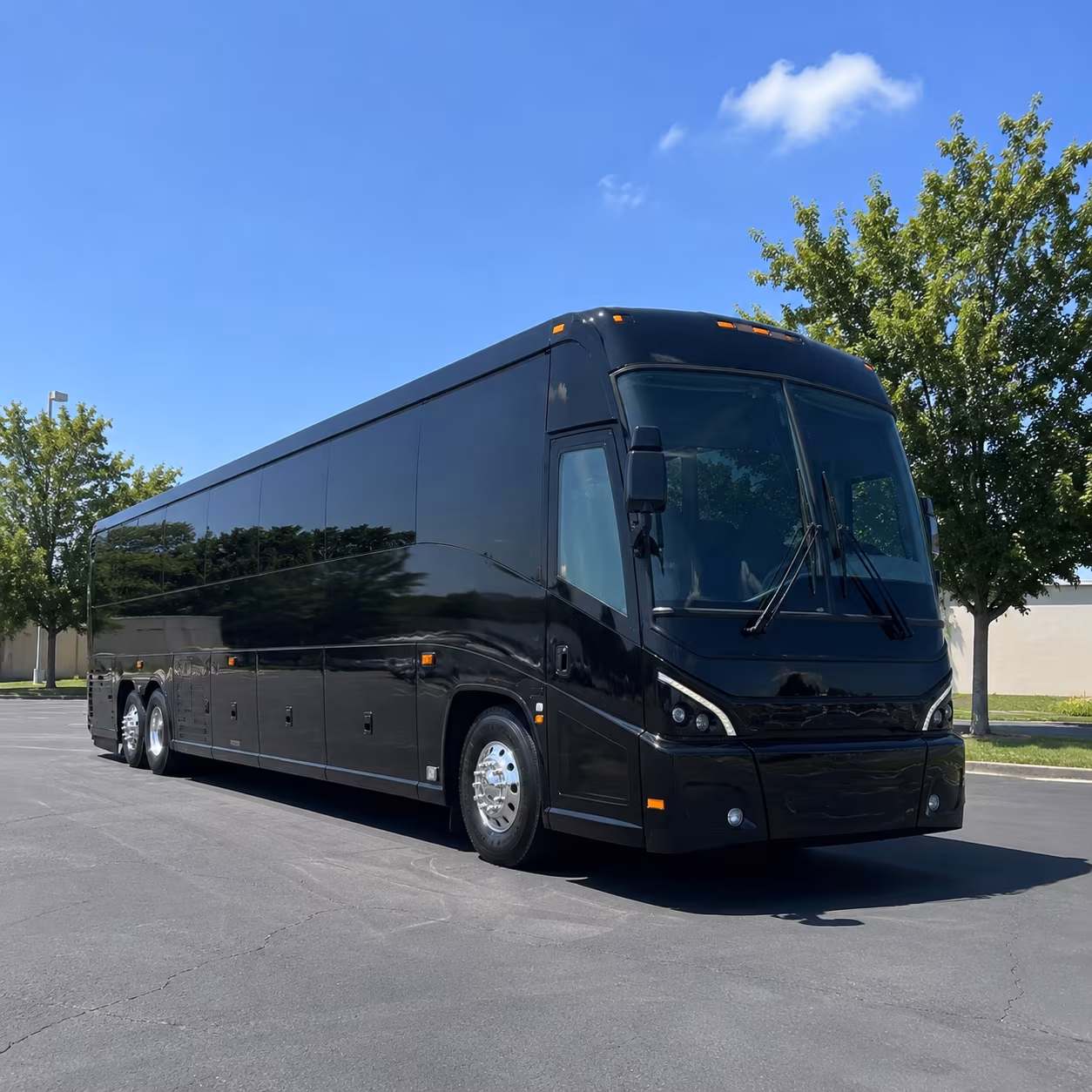 palm coast 56 passenger charter bus