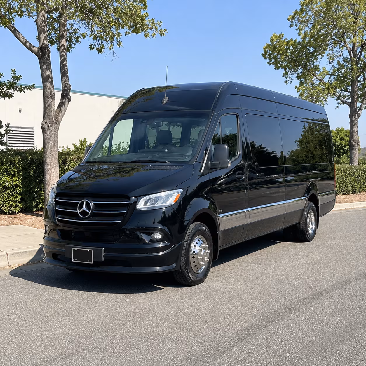 palm coast airport transportation onboard seating